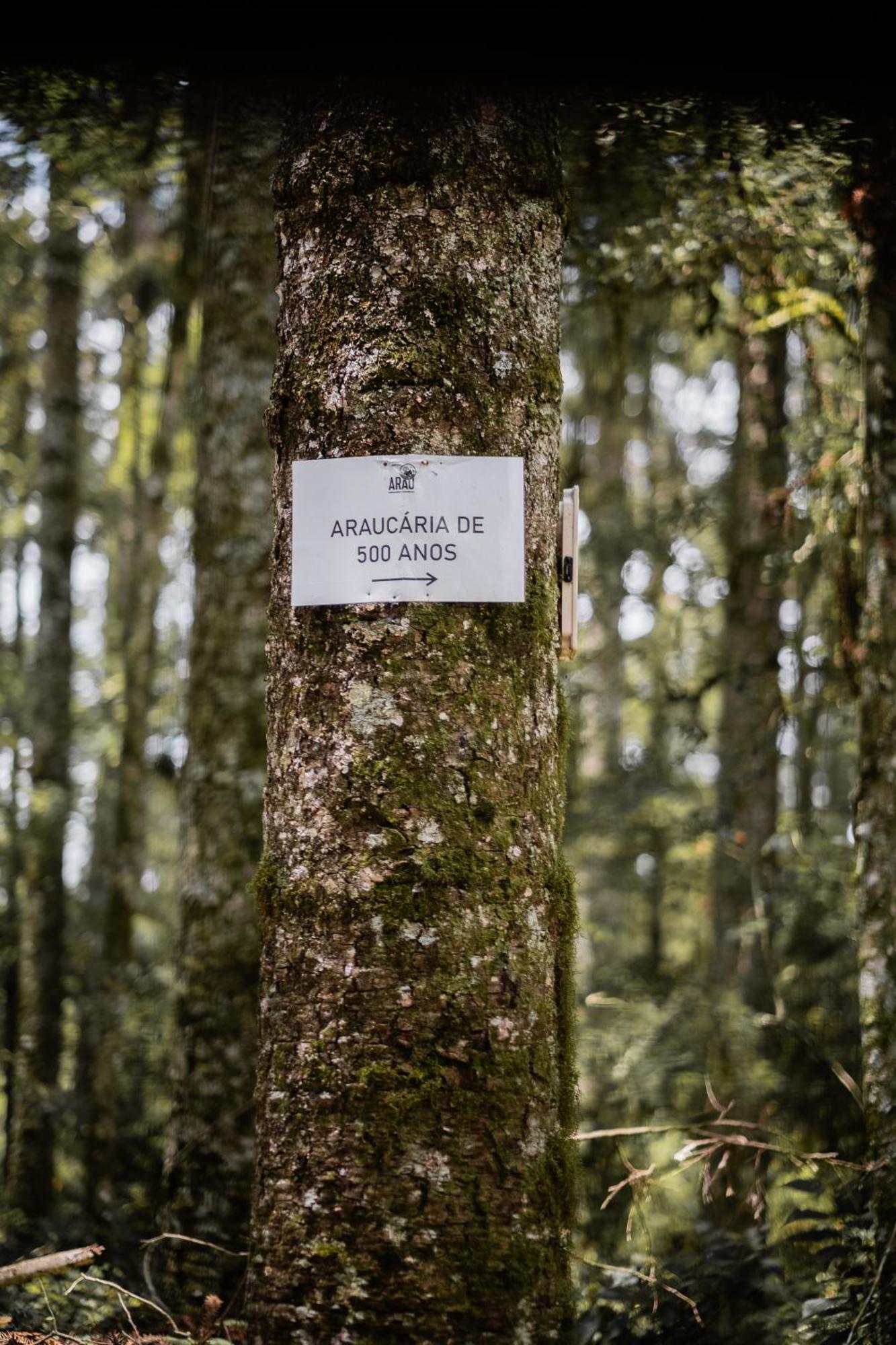 Arau Cabana Cheiro De Mato Flores da Cunha Exterior foto